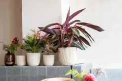 Capi 'made with' groove bol bloempot 26x23 cm zaagsel beige