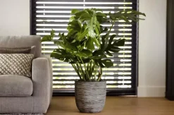 Capi nature bol rib nl kunststof bloempot 35x34 cm antraciet