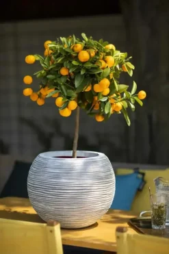 Capi nature bol rib nl kunststof vaas 62x48 cm ivoor