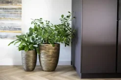 Capi nature elegant laag rib nl kunststof vaas 34x46 cm zwart, goud