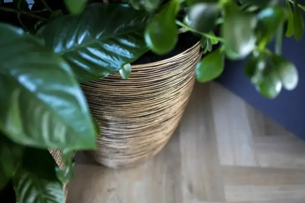 Capi nature elegant laag rib nl kunststof vaas 46x58 cm zwart, goud
