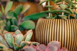 Capi nature groove indoor bol bloempot 23x19 cm zwart goud