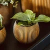 Capi nature groove indoor bol bloempot 12x10 cm zwart goud
