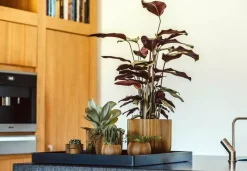 Capi nature groove indoor bol bloempot 12x10 cm zwart goud