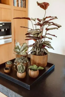 Capi nature groove indoor bol bloempot 12x10 cm zwart goud