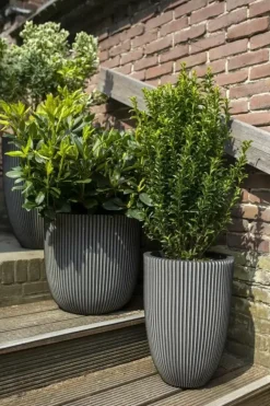 Capi nature groove nl bol bloempot 54x52 cm antraciet