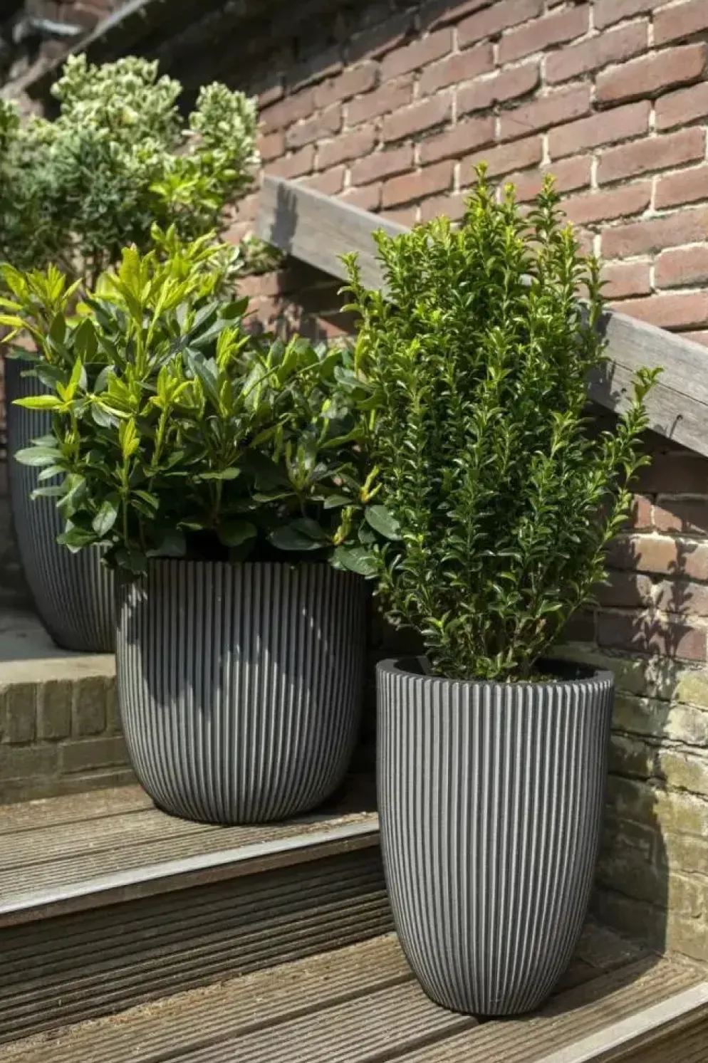 Capi nature groove nl bol bloempot 43x41 cm antraciet