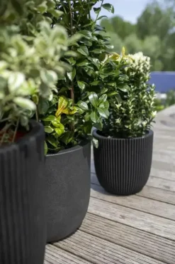 Capi urban smooth nl bloempot egg 54x52 cm zwart