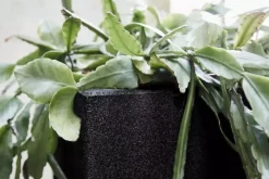 Capi urban smooth nl plantenbak square 30x30x30 cm zwart