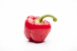 Capsicum annuum (Peper)