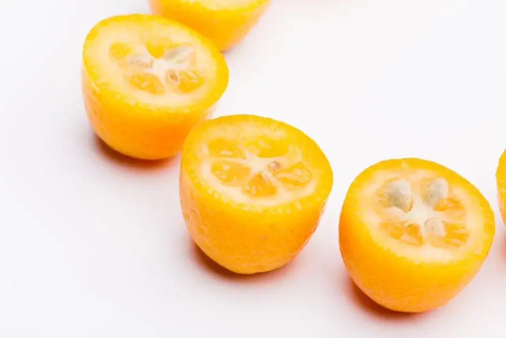 Citrus japonica (Chinese kumquat)