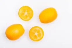 Citrus japonica (Chinese kumquat)