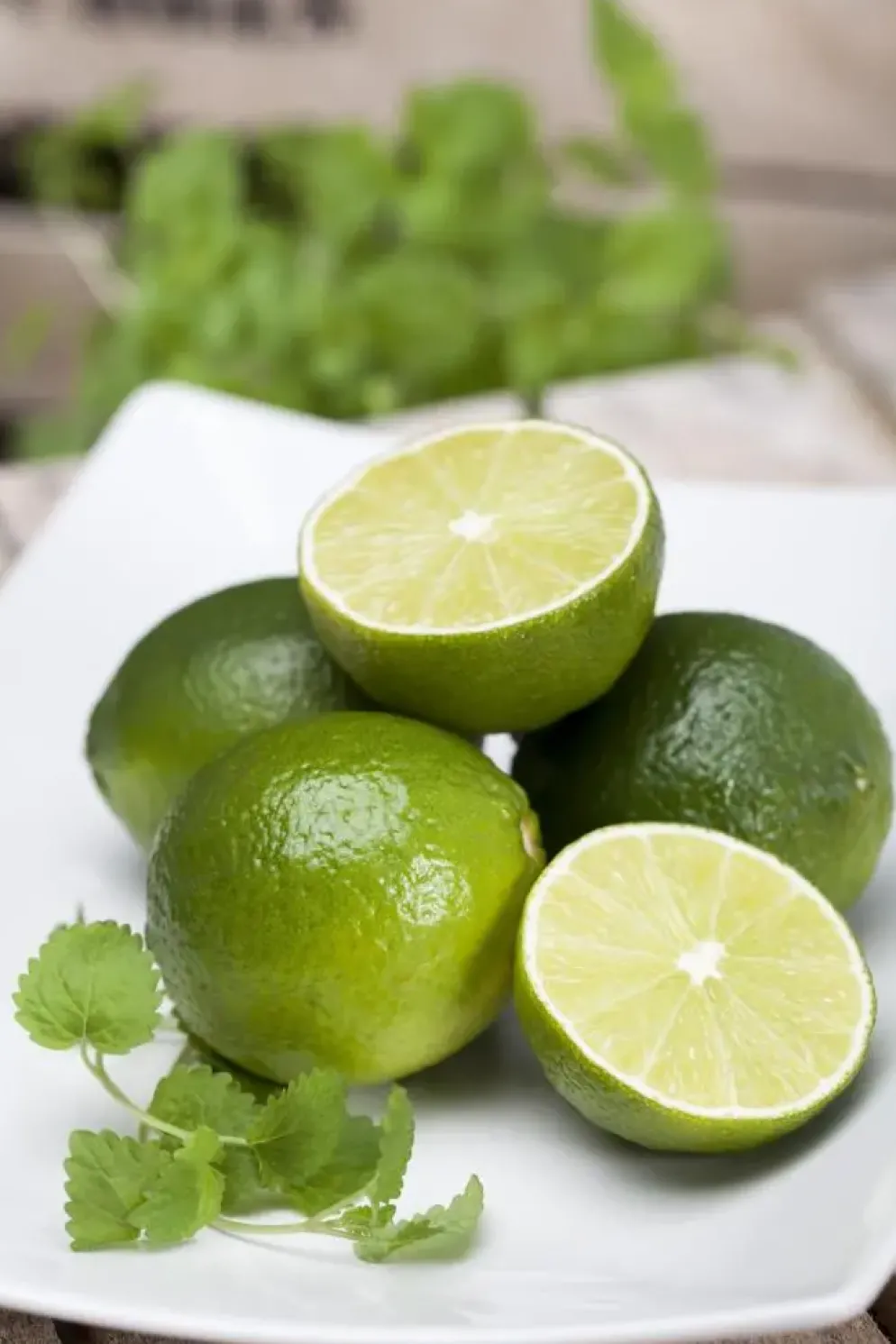 Citrus x aurantifolia (Citroenboom)