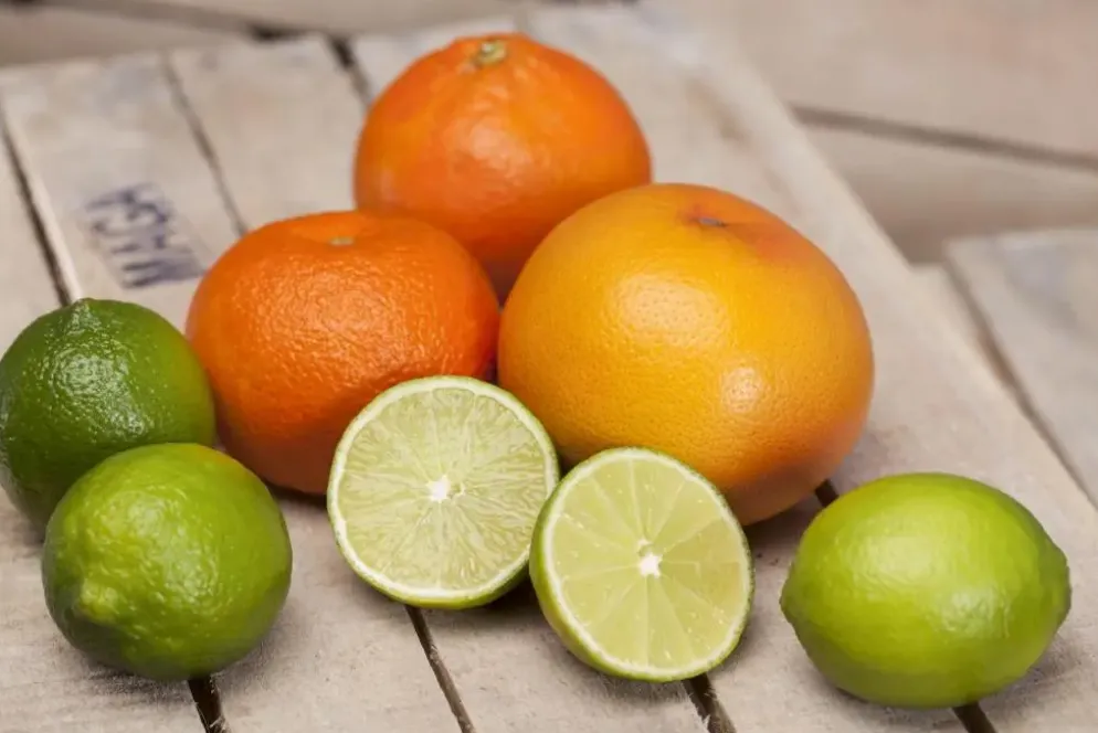 Citrus x aurantifolia (Citroenboom)