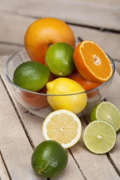 Citrus x aurantifolia (Citroenboom)