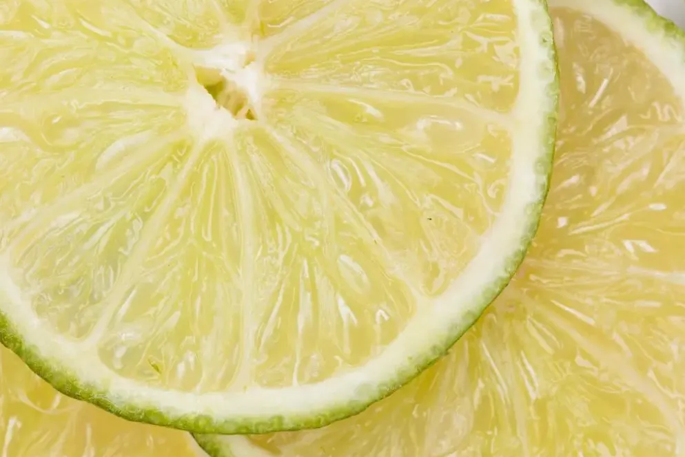Citrus x aurantifolia (Citroenboom)