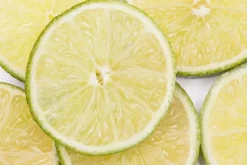 Citrus x aurantifolia (Citroenboom)