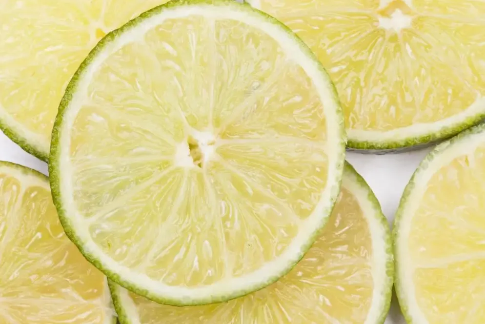 Citrus x aurantifolia (Citroenboom)