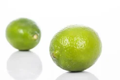 Citrus x aurantifolia (Citroenboom)