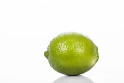 Citrus x aurantifolia (Citroenboom)