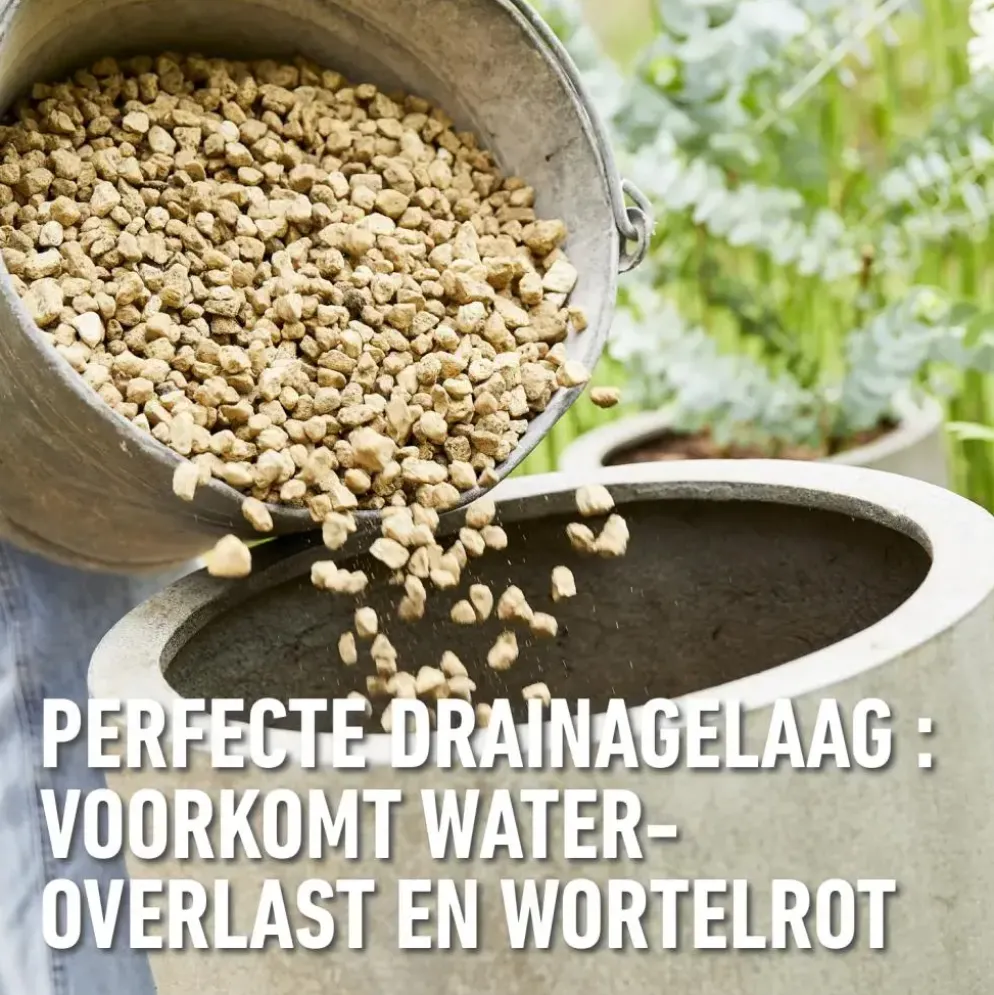 Compo Bio Granuplant Hydrokorrels 10l
