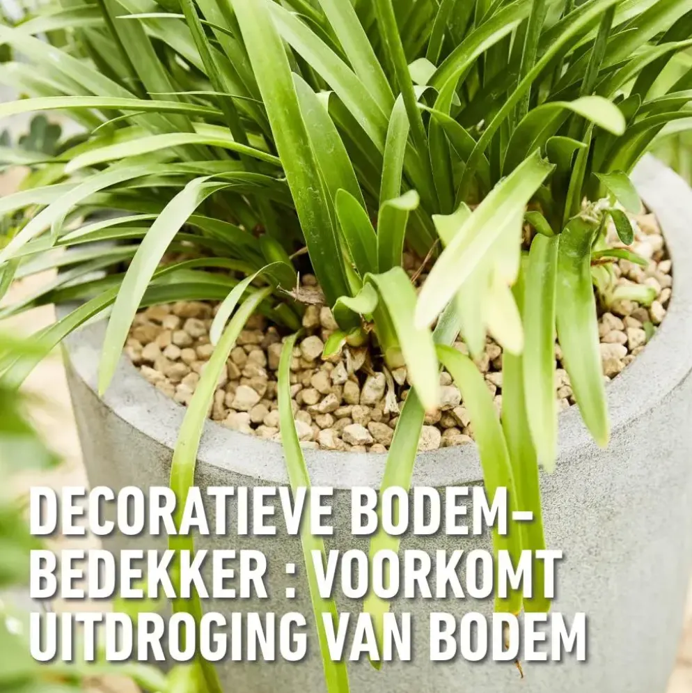 Compo Bio Granuplant Hydrokorrels 10l