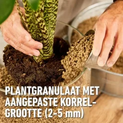 Compo Bio granuplant indoor 3l