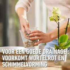 Compo Granuplant® orchideeën 3l