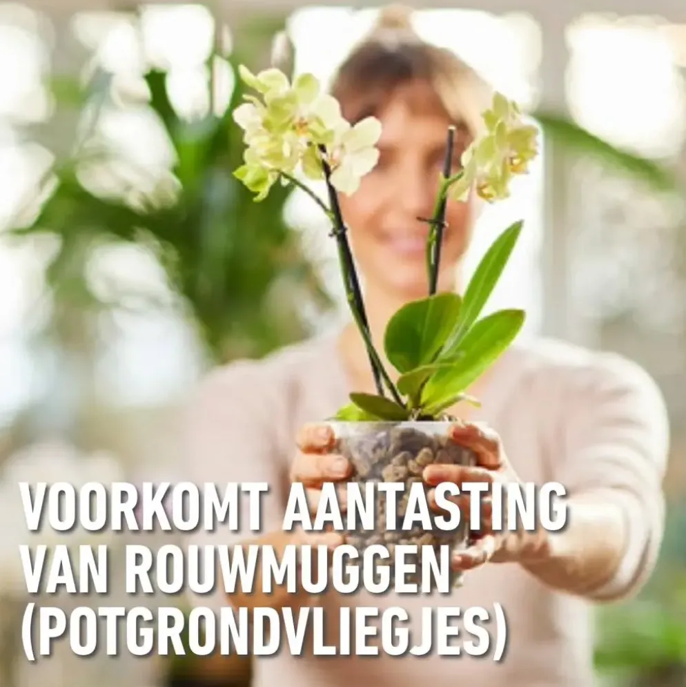 Compo Granuplant® orchideeën 3l