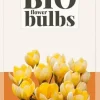 Crocus Romance 15 krokusbollen biologisch geteeld