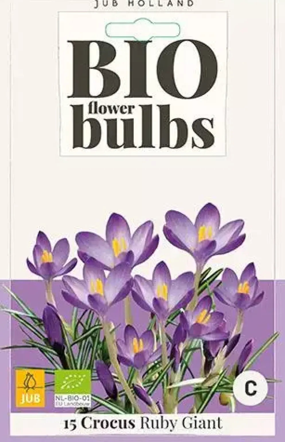 Crocus Ruby Giant 15 stuks biologisch geteeld