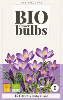 Crocus Ruby Giant 15 stuks biologisch geteeld