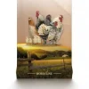 Deli Nature Chix start meel 4kg