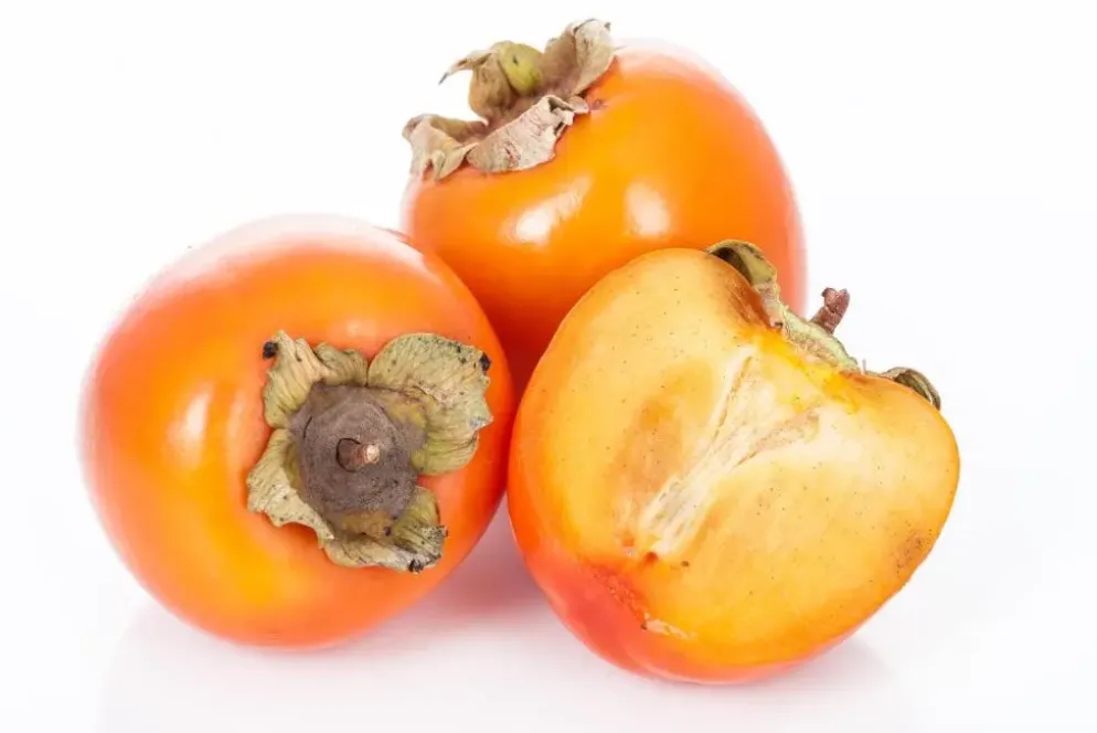Diospyros kaki (Kaki)