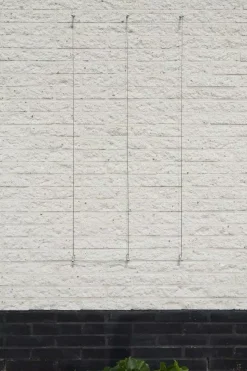 Draadset voor klimplanten d1.8mmx10