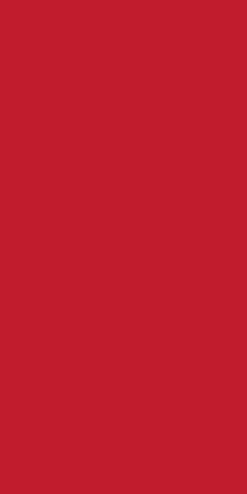 Duni dunisilk tafelkleed 138x220cm rood 1 stuks