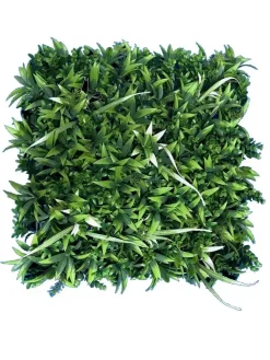 EasyLawn wandplant Fresh mix 1x1 meter