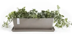 Ecopots Bruges Taupe L65 x B20 x H20 cm