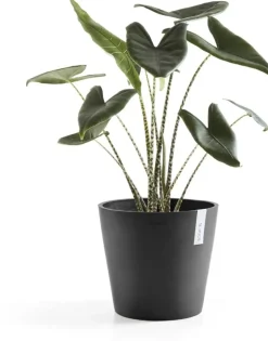 Ecopots kunststof bloempot amsterdam 30x26.3 cm donkergrijs
