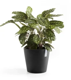 Ecopots kunststof bloempot amsterdam 30x26.3 cm donkergrijs