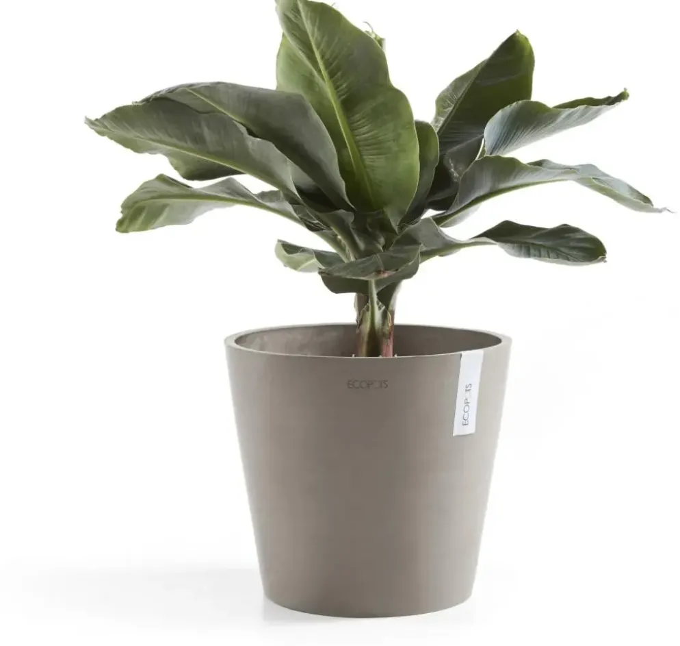 Ecopots kunststof bloempot amsterdam 25x22 cm taupe