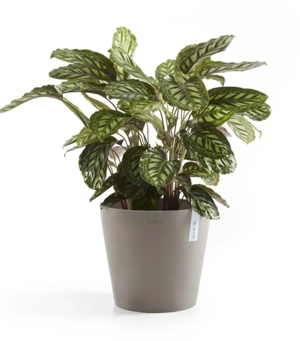 Ecopots kunststof bloempot amsterdam 25x22 cm taupe