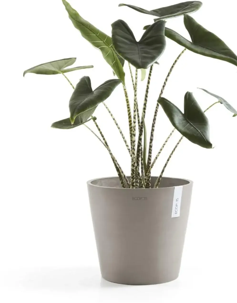 Ecopots kunststof bloempot amsterdam 25x22 cm taupe