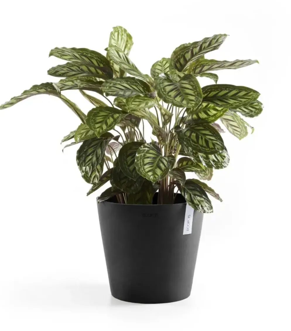 Ecopots kunststof bloempot amsterdam 40x35 cm donkergrijs