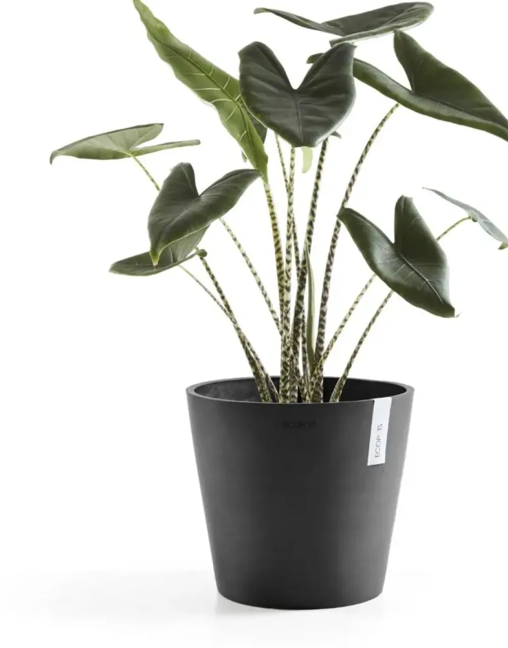 Ecopots kunststof bloempot amsterdam 40x35 cm donkergrijs