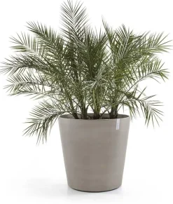 Ecopots kunststof bloempot amsterdam met wielen 80x74.2 cm taupe