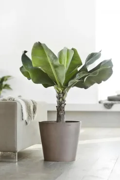 Ecopots kunststof bloempot amsterdam 40x35 cm taupe