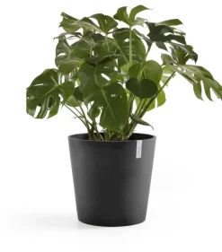 Ecopots kunststof bloempot amsterdam 50x44 cm donkergrijs