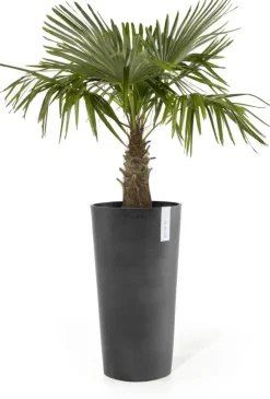 Ecopots kunststof bloempot amsterdam hoog 41.5x76.8 cm donkergrijs