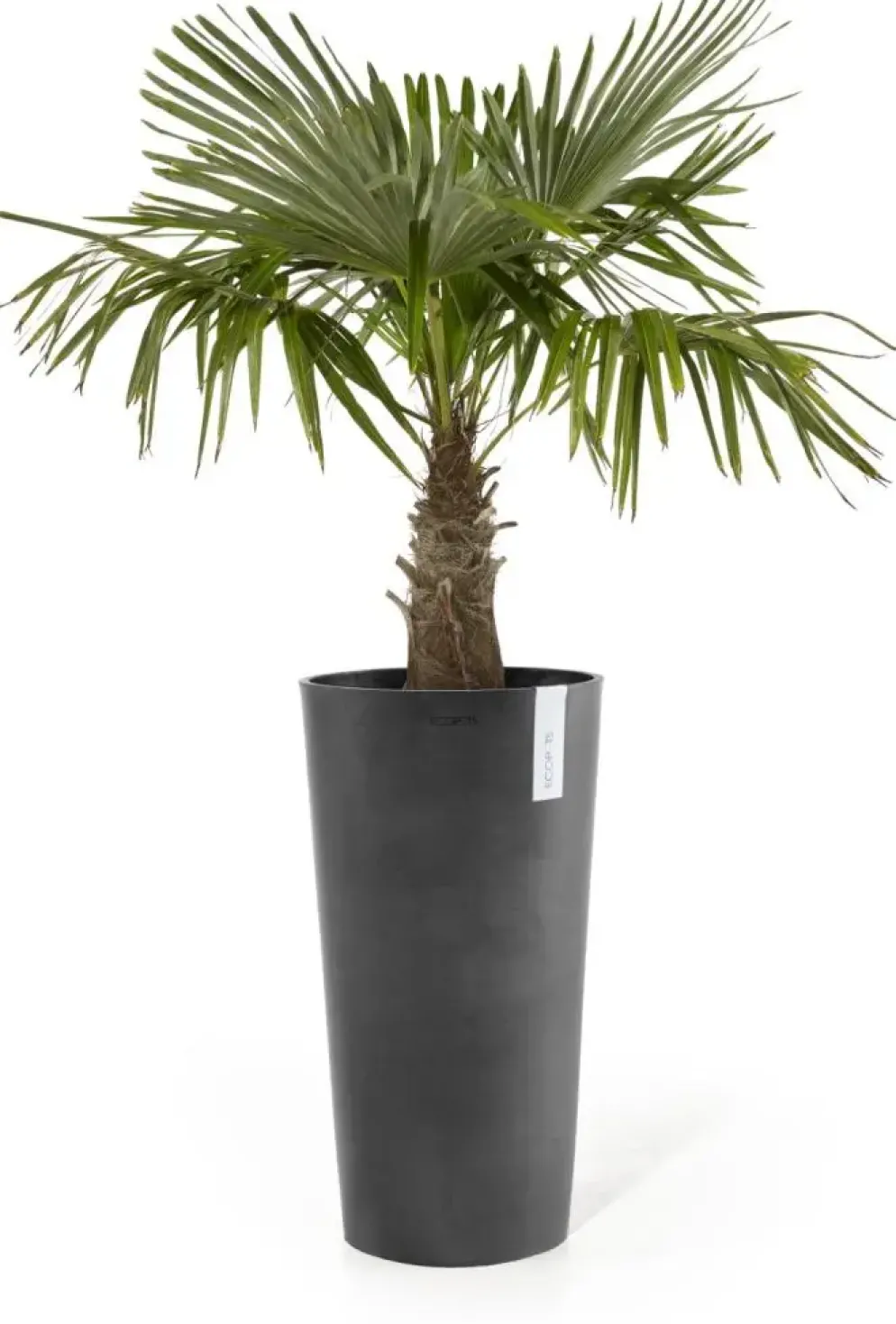 Ecopots kunststof bloempot amsterdam hoog 34x66 cm donkergrijs
